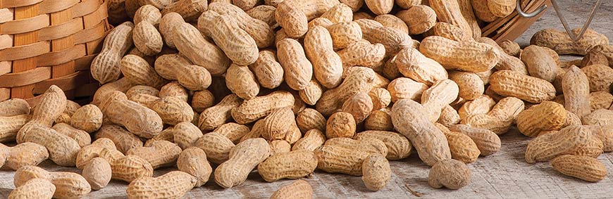 In-the-Shell Peanuts